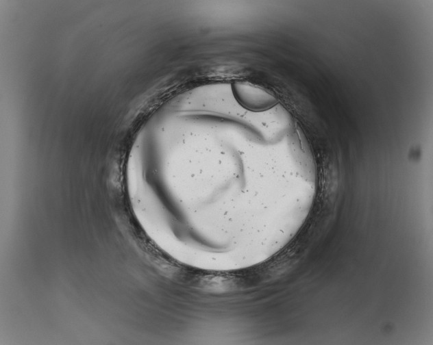 X0000112480755200909071157