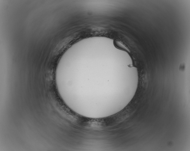 X0000112480756200909071157