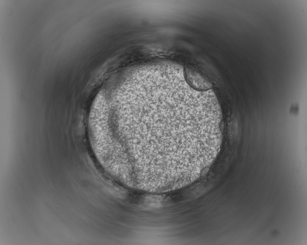 X0000112480757200909071157