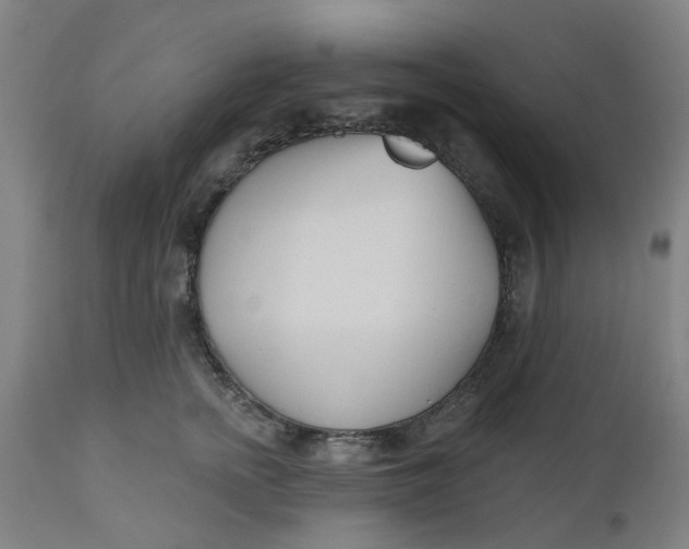 X0000112480758200909071157