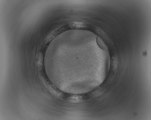 X0000112480760200909071157