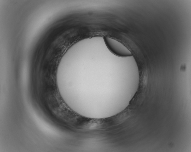 X0000112480764200909071157