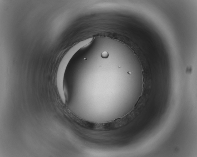 X0000112480766200909071157