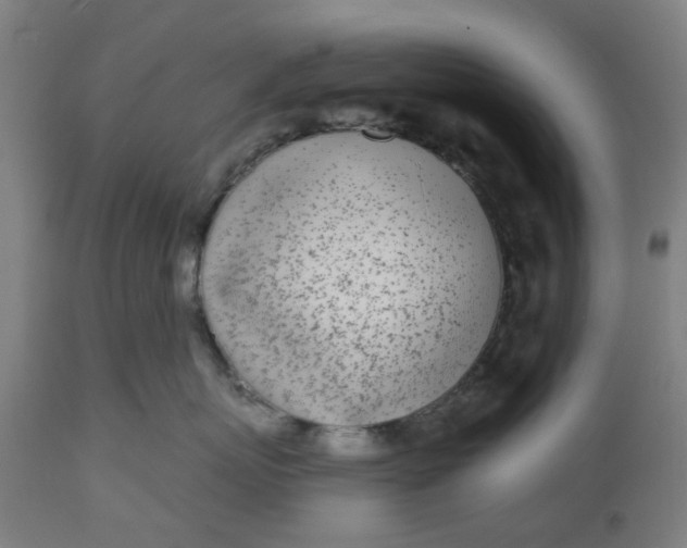 X0000112480767200909071157