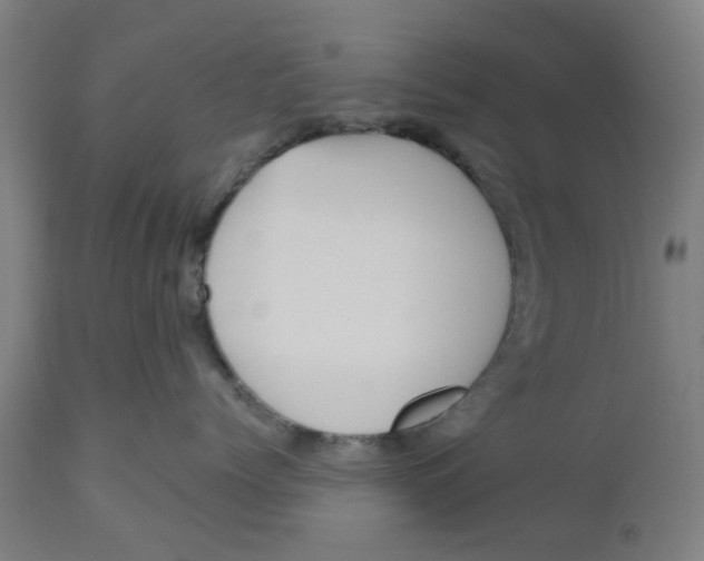 X0000112480768200909071157