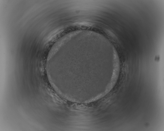 X0000112480774200909071156