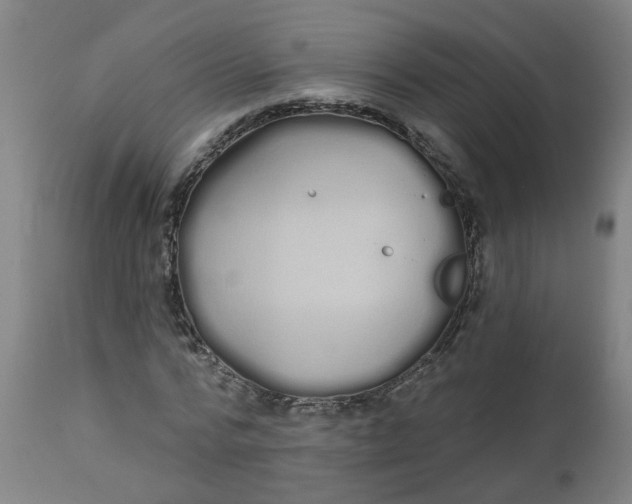 X0000112480776200909071156