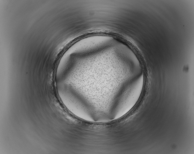 X0000112480778200909071156