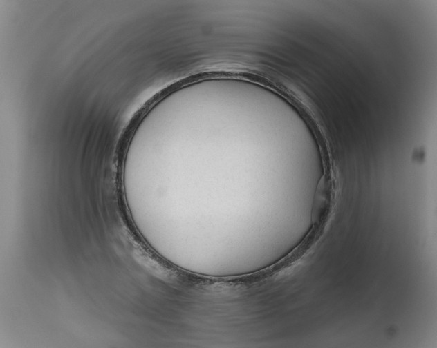 X0000112480779200909071156