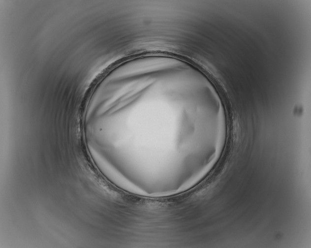 X0000112480782200909071156