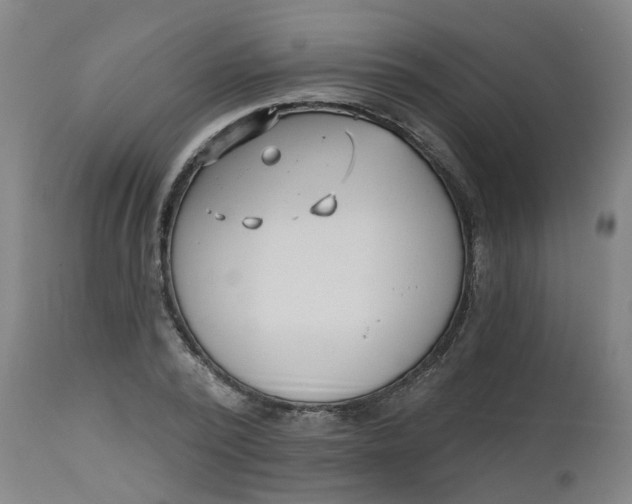 X0000112480784200909071156