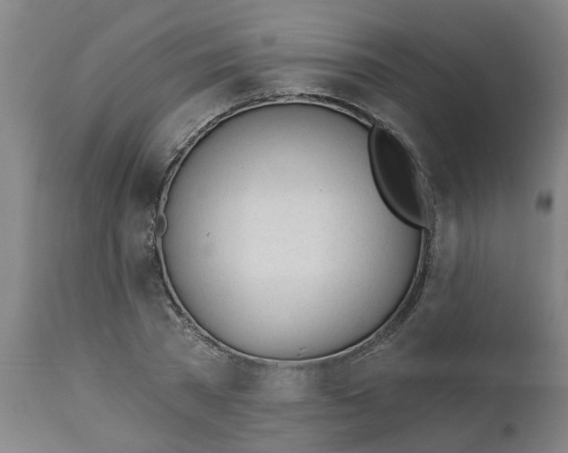 X0000112480785200909071156