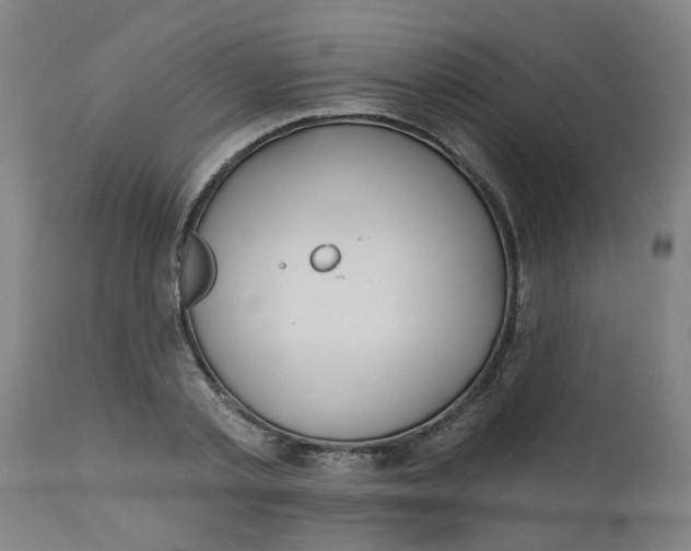 X0000112480789200909071156