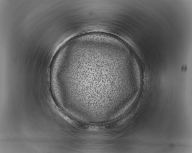 X0000112480790200909071156