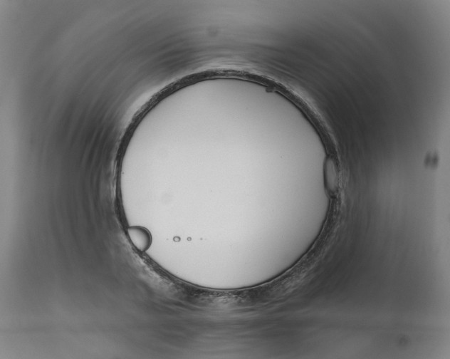 X0000112480791200909071156