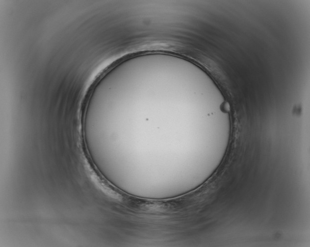 X0000112480792200909071156