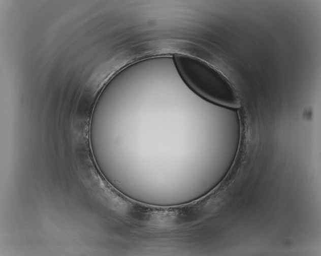 X0000112480793200909071156