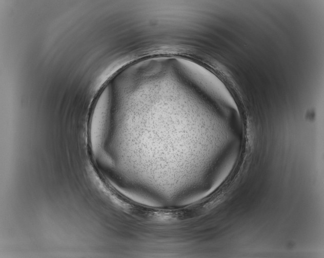 X0000112480794200909071156