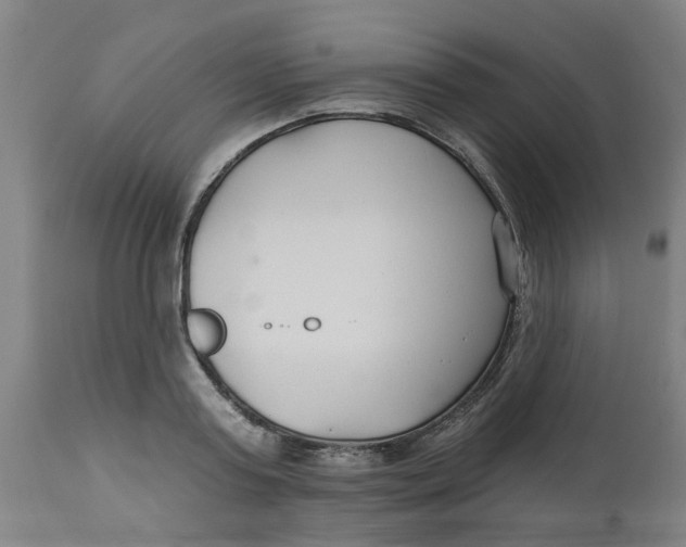 X0000112480795200909071156