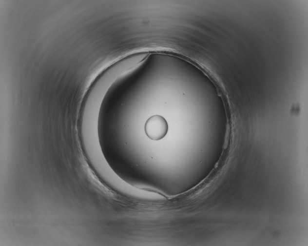 X0000112480797200909071156