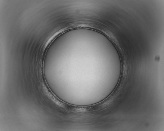 X0000112480798200909071156