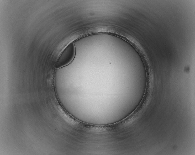 X0000112480801200909071155