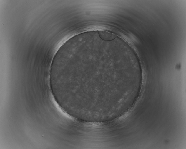 X0000112480802200909071155