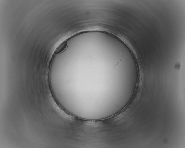 X0000112480805200909071155