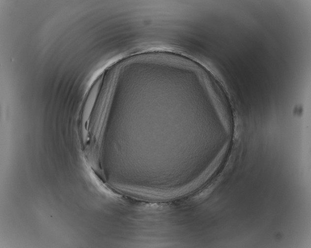 X0000112480806200909071155