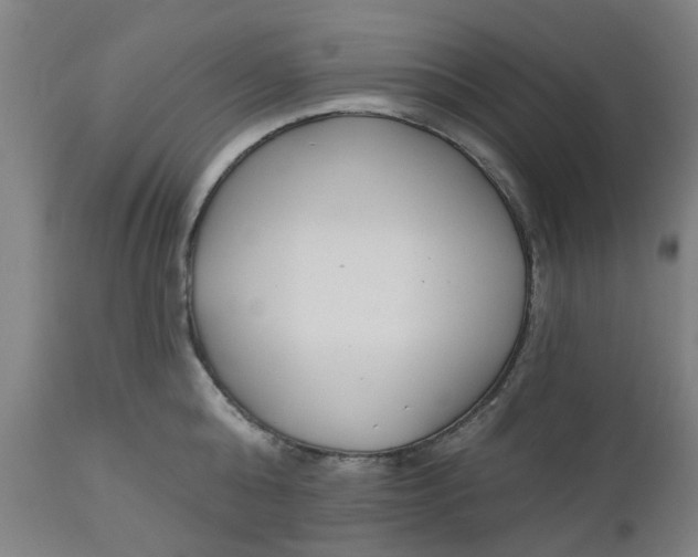 X0000112480808200909071155