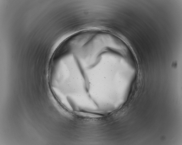 X0000112480811200909071155