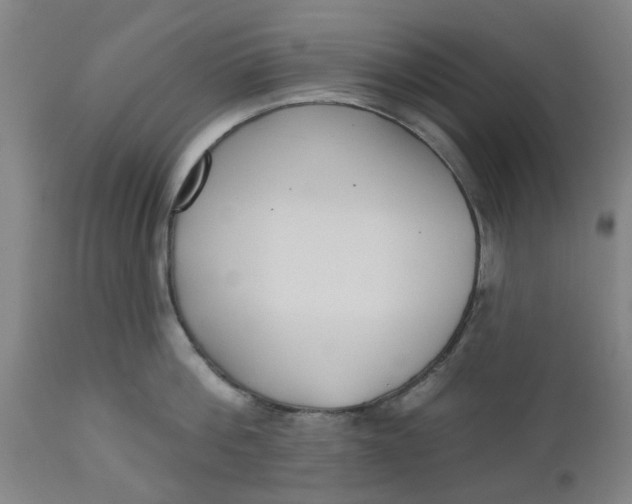 X0000112480812200909071155