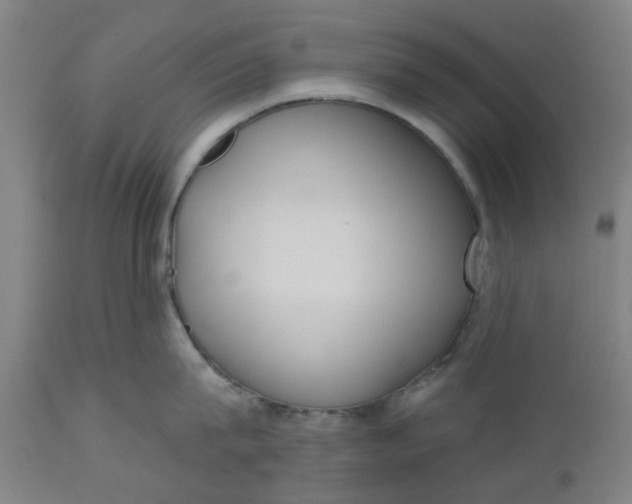 X0000112480815200909071155