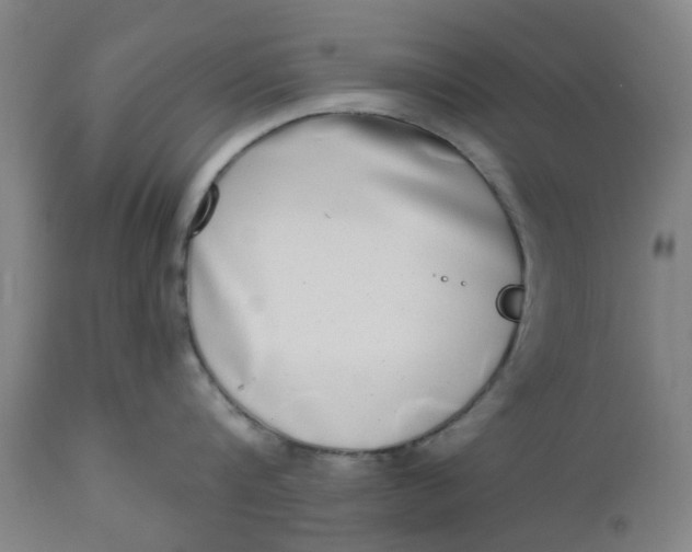 X0000112480816200909071155