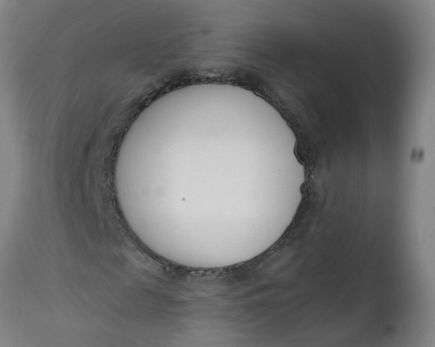 X0000112480817200909071154