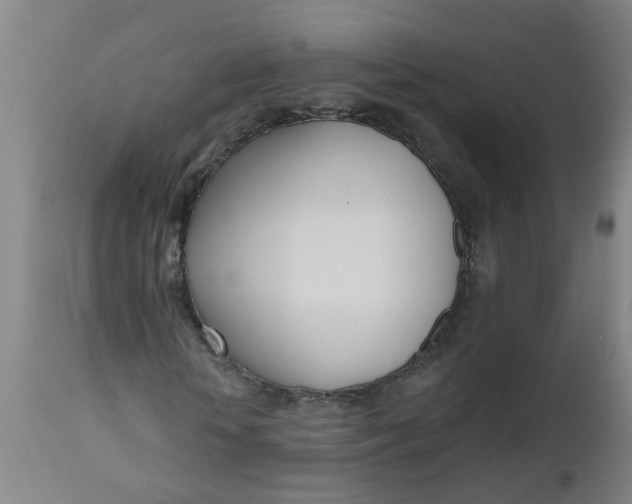 X0000112480818200909071154