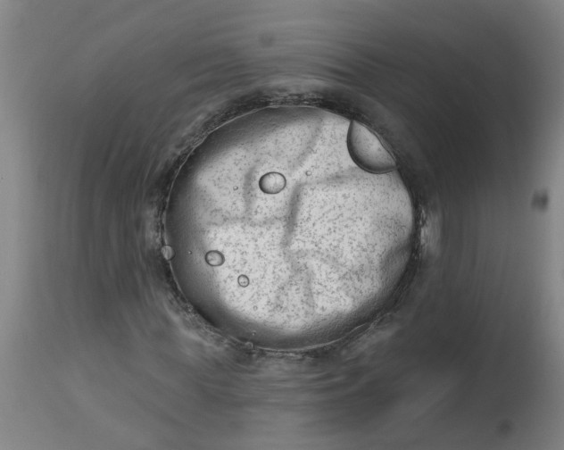 X0000112480819200909071154