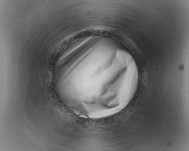 X0000112480821200909071154