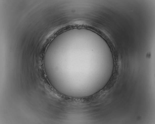 X0000112480823200909071154