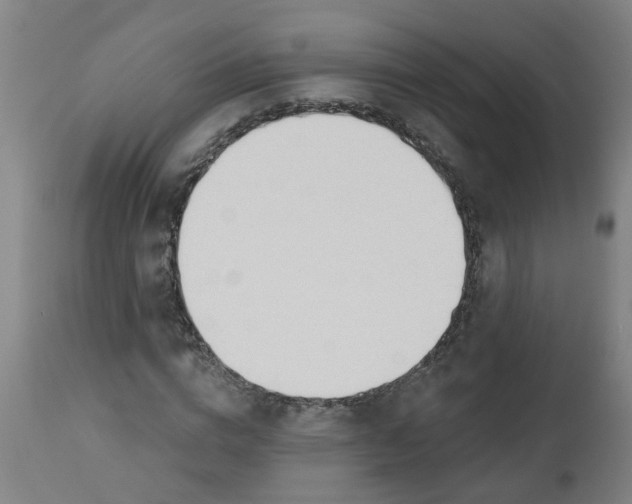 X0000112480824200909071154