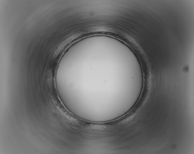 X0000112480825200909071154