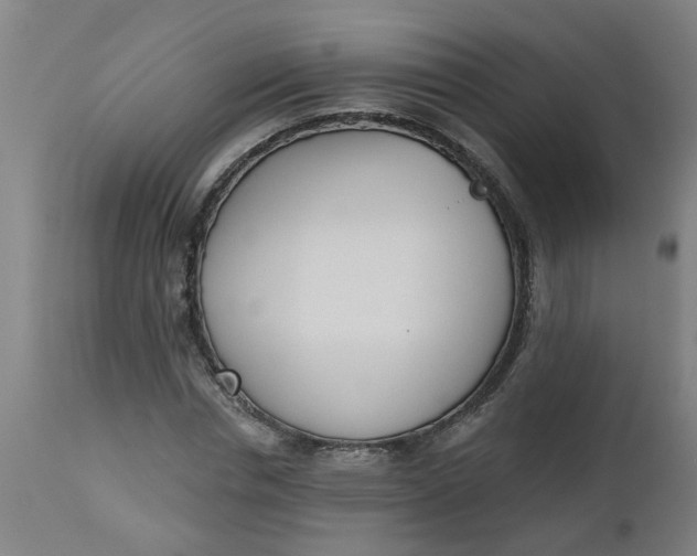 X0000112480826200909071154