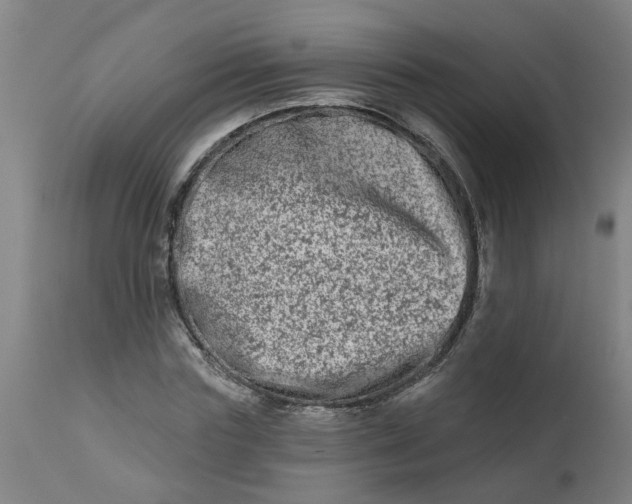 X0000112480827200909071154