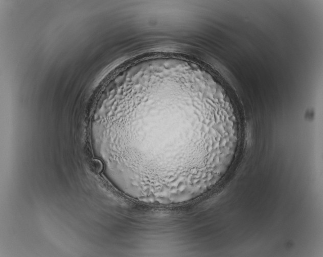 X0000112480829200909071154