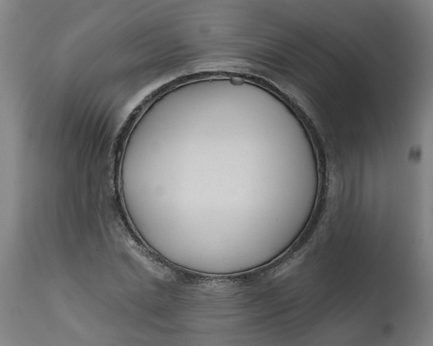 X0000112480830200909071154