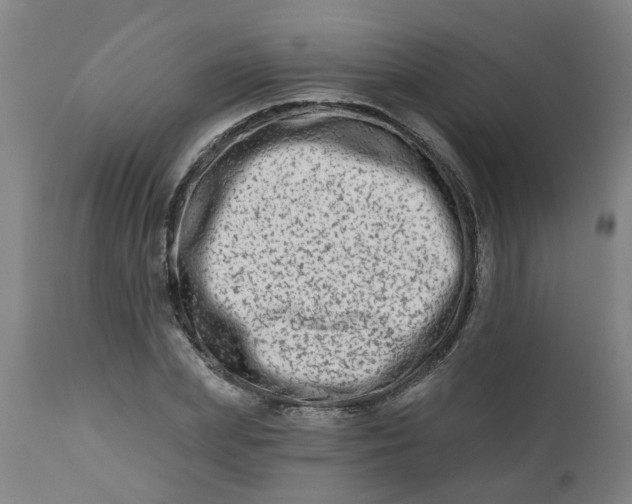 X0000112480831200909071154