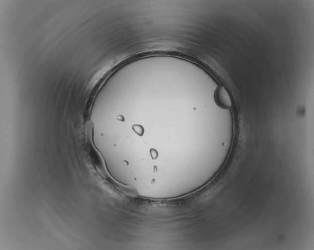 X0000112480834200909071155