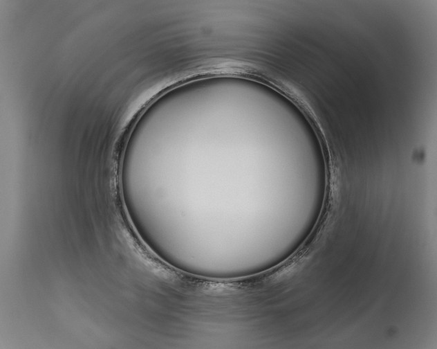 X0000112480835200909071155