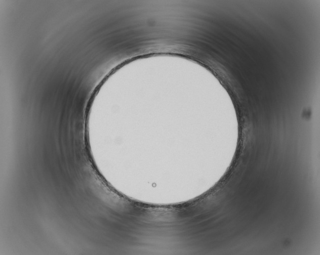 X0000112480836200909071155