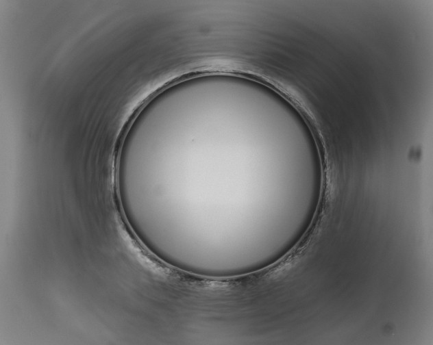 X0000112480839200909071155